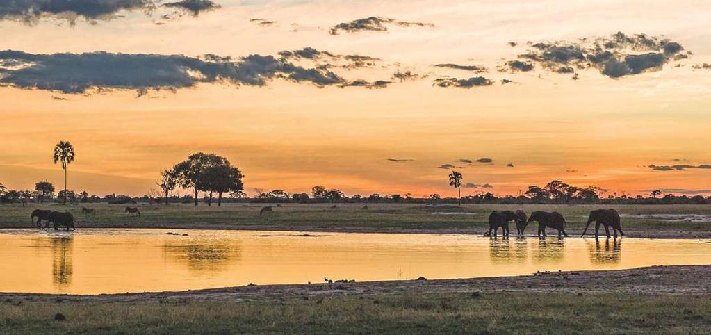 Zimbabwe Landet med underverk & gömda pärlor Följ med oss och upptäck Zimbabwes gömda pärlor och underverk. Detta oupptäckta land bjuder på magiska vyer och oförglömliga upplevelser.