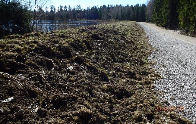 Det som först och främst beskrivs av branschutövare är att vegetation försvårar övervakningen av en anläggning. En viktig del av tillståndskontrollerna är att okulärt besikta anläggningen.