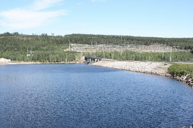 Examensarbete - Vegetation på dammar, 2017-09-12 Bilaga 1 - Sammanställning från studiebesök - Sidan 5 av 23 Uppströmsslänt Uppströmsslänt har sälg och örtvegetation som täcker partier av