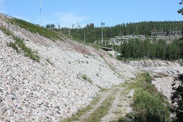 Krön På krönet är Riksväg 45 belägen vilket gör att det inte växer något mitt på. Ner efter slänter växer dock sly.