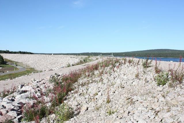 Examensarbete - Vegetation på dammar, 2017-09-12 Bilaga 1 - Sammanställning från studiebesök - Sidan 7 av 23 Dammtå Längs dammtå finns enbart kortklippt gräs som inte anses utgör problem.