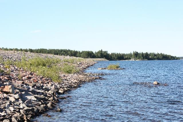 Det är minst 20 meter till träd vilken anses tillräckligt för att inte utgöra någon risk för dammen. Betongdelar På och kring betongdelar syns ingen vegetation av betydande karaktär. Figur 7.