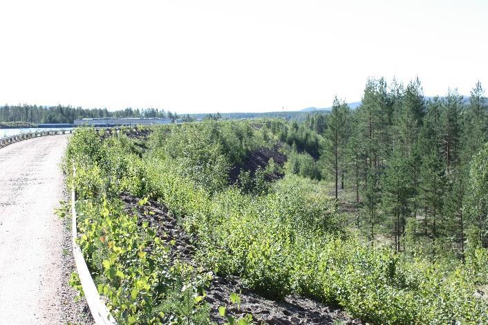 Nedströms om dammtå Nedströms om dammtå var det ca 15 20 meter till skogsparti bestående av yngre tallar. Avståndet antas vara stort nog för att inte utgöra något hot mot dammen vid besökstillfället.