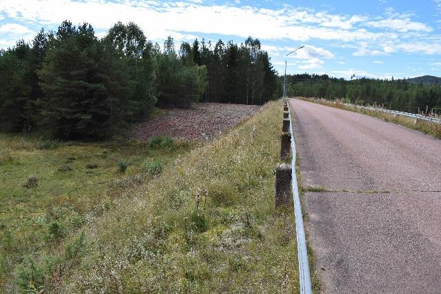 Examensarbete - Vegetation på dammar, 2017-09-12 Bilaga 1 - Sammanställning från studiebesök - Sidan 15 av 23 Uppströmsslänt Blyberga hade mycket sly av al och björk i uppströmsslänt ca 1 m i höjdled