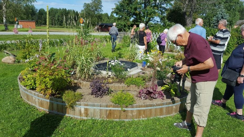 Vill ni se fler bilder och hela Sommarresa i trädgårdens tecken I år åkte Skellefteå trädgårdssällskap på sin traditionsenliga resa till Vindeln.