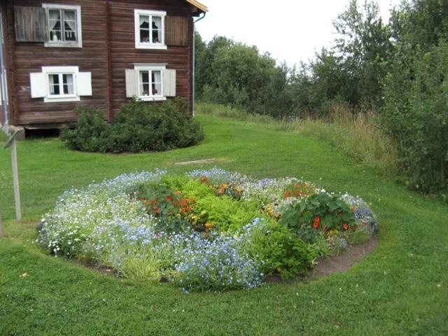 Planteringen i Bonnstan 2017 Trä dgä rdssä llskäpets plänteringsgrupp här som mä lsä ttning ätt värje ä r plänterä värierände sommärblommor i Rondellen, men ocksä presenterä räbättens temä.