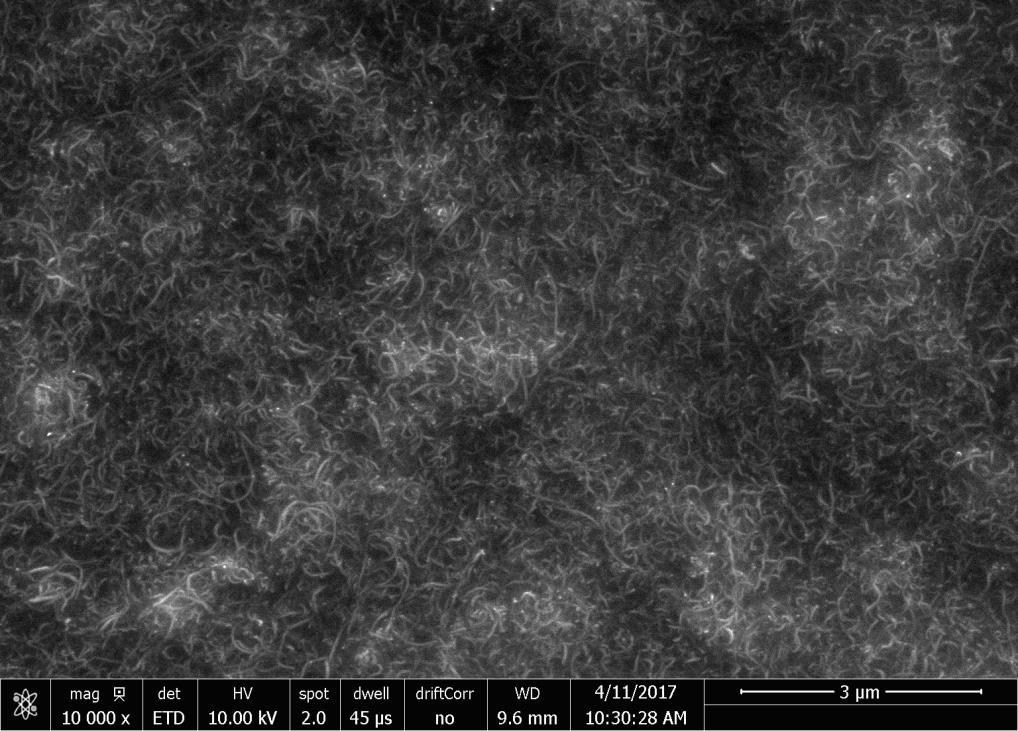 2017-12-21 6P06656 10 (15) Figur 7: SEM-bild av CNT dispergerade i bitumen. Skala = 3 µm; Förstoring: 10 000 x. 7.2. Uppvärmningsförsök med mikrovågor Uppvärmningsförsök har utförts både på: