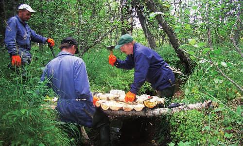 Naturvårdsarbete utförs också på vattenområden. Forststyrelsen och Norra Österbottens miljöcentral fick 2006 WWF:s Pandapris för sitt gemensamma projekt för iståndsättning skogbäckar.