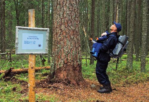 markus sirkka Pyhä-Häkki nationalpark fyllde 50 år 2006. Parken hade över 15 000 besökare under jubileumsåret.