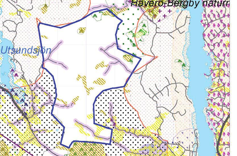 Beskrivning enligt infraröd flygbild: Barrskog dominerar, en del stråk av lövträd, myrar Ev.