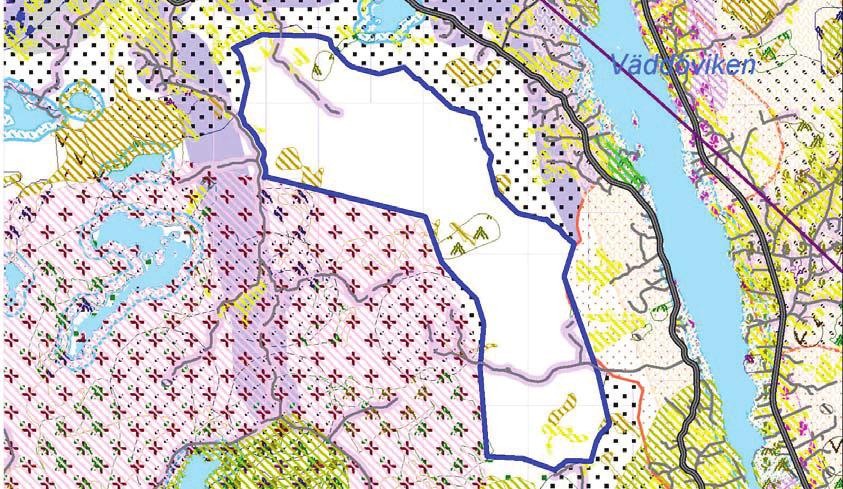 2. Områdets namn: Väddöviken Storlek: 517 ha Beskrivning enligt infraröd flygbild: Barrskog dominerar Ev.