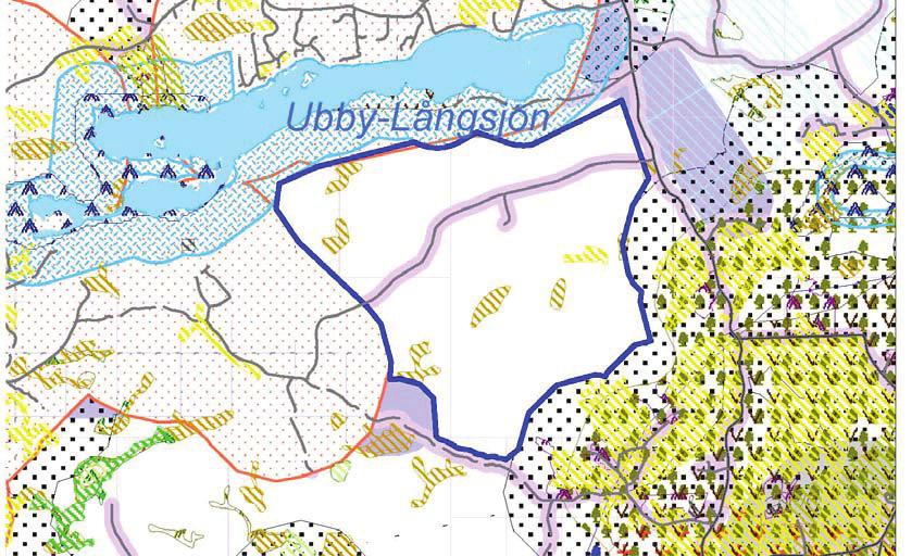 5. Områdets namn: Ubby-Långsjön Storlek: 342 ha Beskrivning enligt infraröd flygbild: Barrskog dominerar Ev.