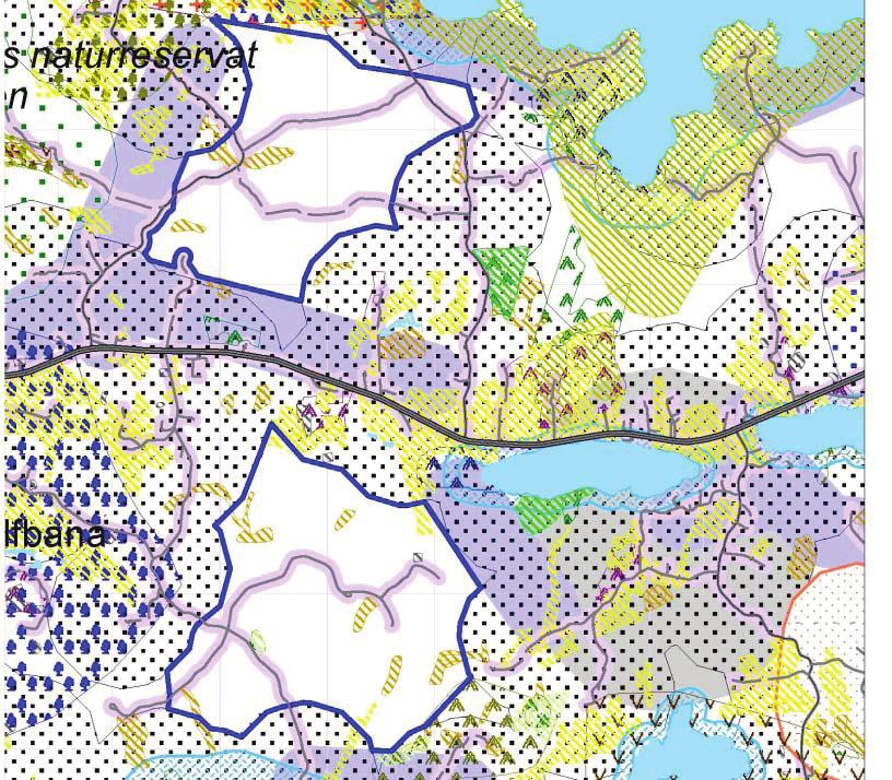 6. Områdets namn: Skedviken Storlek: 220 ha Beskrivning enligt infraröd flygbild: Barrskog, mycket löv i de norra delarna. Ev.