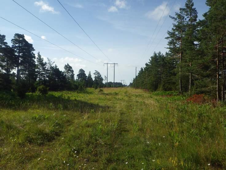 Objekt ID: 10 6,4 ha Naturvärdesbedömning: Högt naturvärde naturvärdesklass 2 Dominerande naturtyp: Ängs och betesmark Biotoper: Öppet alvar Natura 2000 naturtyp: 6280 Nordiskt alvar Beskrivning: