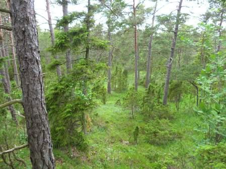 Naturvårdsutlåtande