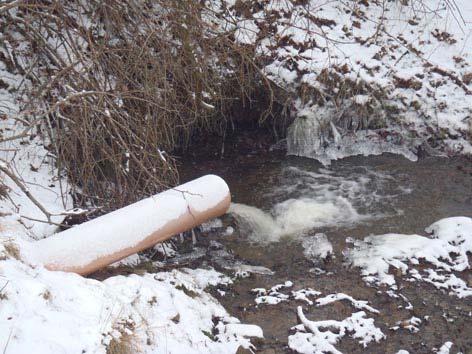 Vattenkvalitén är begränsande för fisk uppströms med utsläpp från Veberöds reningsverk.