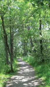 Laholm, Glänningeslingan Vägbeskrivning: Start Folkhälsocentrum/simhallen, Bättringsvägen. Flack, natur/motionsstig, lövskog runt sjön.