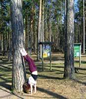 Röda slingan 6 km. Gröna slingan 3 km, utgår från Hökhult. Kan kombineras med röda slingan. Samtliga slingor på Hökafältet är flacka och lättvandrade.