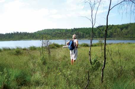 Blåaltslingan Vägbeskrivning: Från Laholm, kör mot Veinge kyrkby.