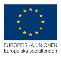Europeiska socialfonden stöder projekt som motverkar utanförskap och främjar kompetensutveckling Stärkt digital kompetens för små och medelstora företag Nu kan ni söka stöd för projekt inom