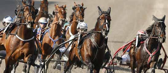 SOLVALLA // 0 7 0 M AUTOSTART START 0. V- TRIO TVILLING VINNARE PLATS -åriga och äldre 00.00-0.000 kr. Körsvenskrav kat.. 0 m. Autostart. Pris: 0.000-0.000-.000-7.00-.000-(.00)-(.00) kr.