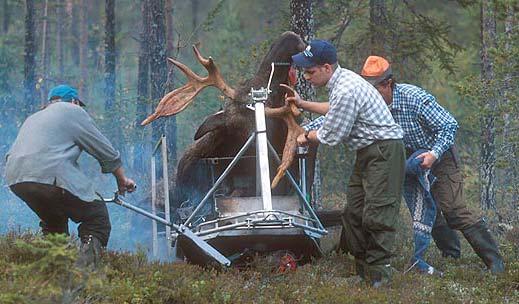 Bakgrund Ankarsrum 2005, Sv.