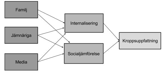 ! 5! som påverkar kroppsuppfattning är hur mottaglig individen är för internalisering och social jämförelse genom socialiseringsagenterna (Thompson et al.