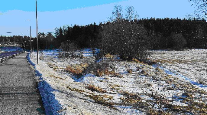 Enköpingsvägen syns passera genom skogsudden innan den försvinner över Färjekarlsgärdet (Dalkarlsgärdena). Svårbestämbara vägrester finns i dungen till höger. Foto författaren 2013.