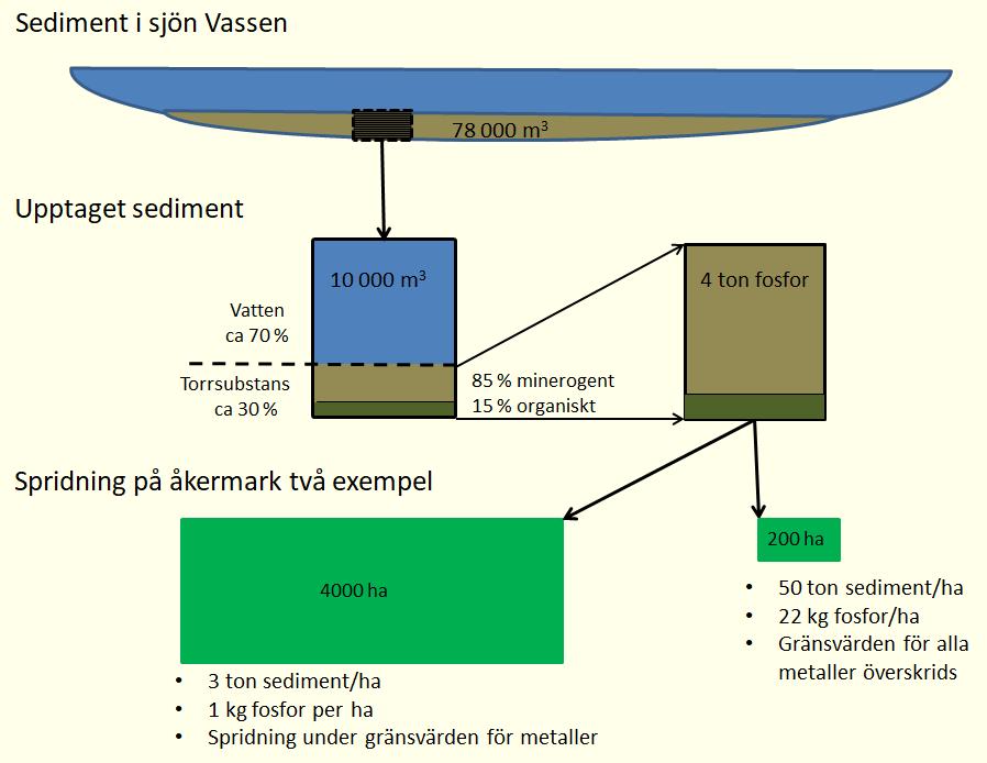 metallerna måste spridningsarealen ökas.