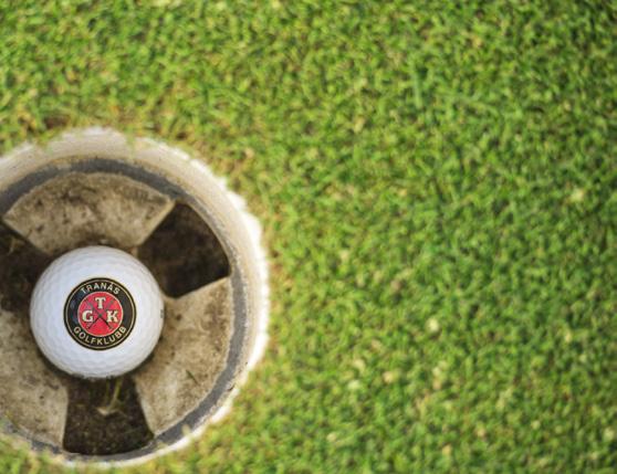 Hole-in-ones 2018 på Norrabybanan Namn Hål Bana Anders Johansson Hål 8 Norrabybanan Marianne Hörlin Hål 10 Norrabybanan Thomas Lundqvist Hål 8 Norrabybanan Peter Eklind Hål 8 Norrabybanan Ing-Mari