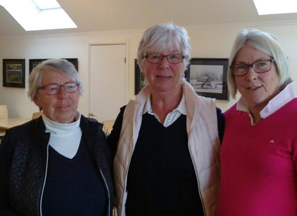 Damligan Vilken golfsäsong vi haft, sällan har det varit så stora variationer i spelförhållanden som i år.