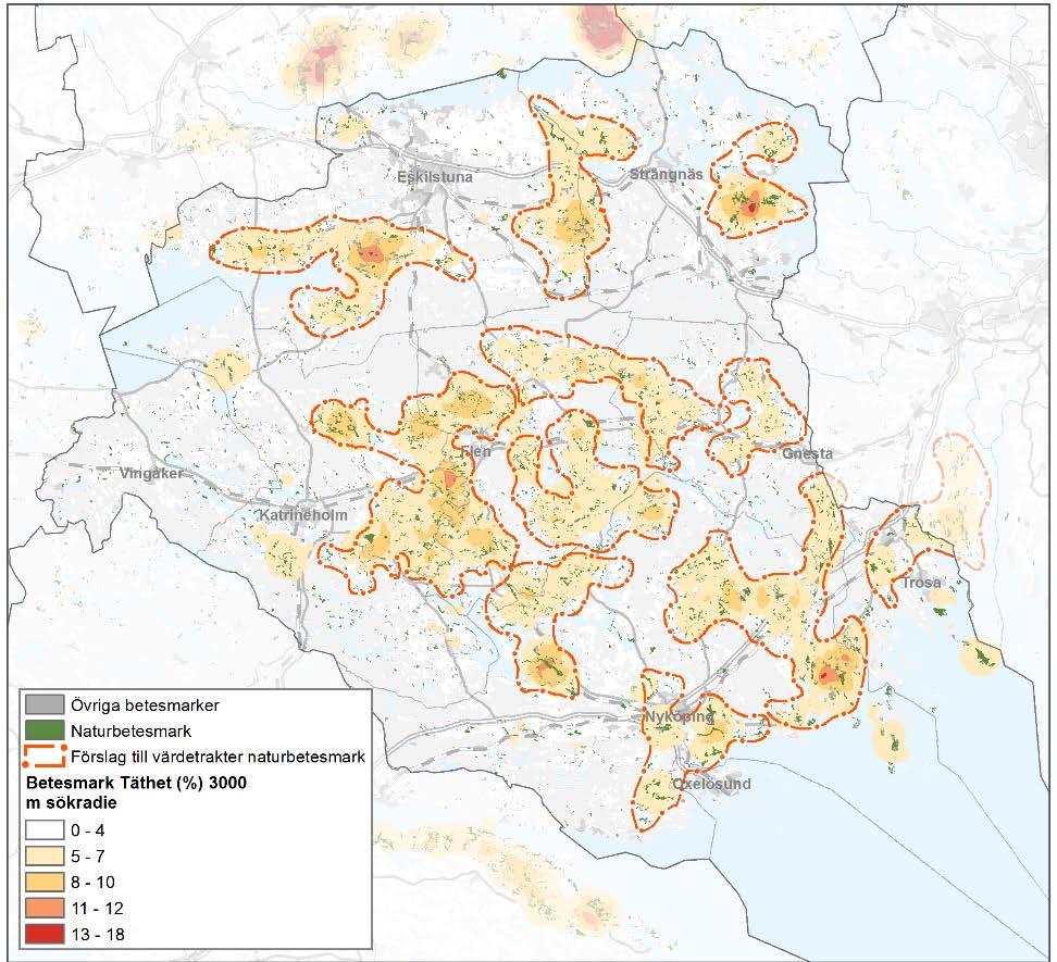 Handlingsplanen ger ett geografiskt perspektiv på miljömålen Länsstyrelsen har identifierat ett nätverk av natur för några livsmiljöer.