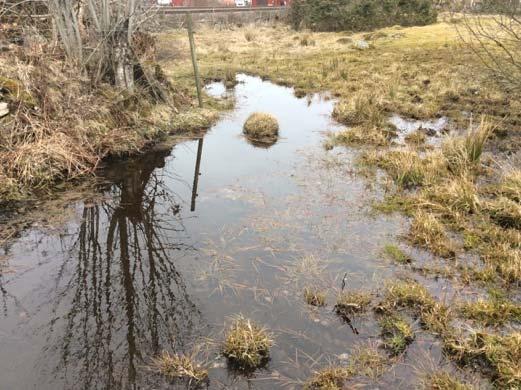 48 Öppet dike i Dike mellan åkrar och järnvägen.