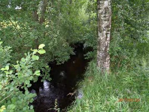 Biotopkarteringar i Säveån 2011-2012 BILAGA 2 Säveåns biflöden Strukturelement: Åker bro B58 Beskrivning: Sträckan är ringlande i odlingslandskapet, en gles lövskogsridå finns på båda sidor om