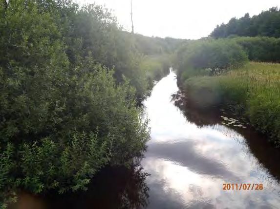 Biotopkarteringar i Säveån 2011-2012 BILAGA 2 Säveåns biflöden Åtgärdsförslag: Madområdet är ett mycket viktigt inslag som vattenhållande biotop och kan behövas skyddas.