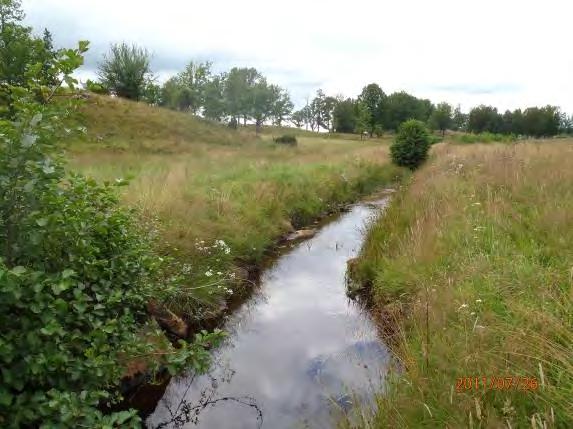Mycket sten och grus finns vid sidan om och som kan läggas tillbaka i vattendraget. När plåtarna på det partiella vandringshindret nedströms (H30) tas bort ökas också strömningen i vattendraget.