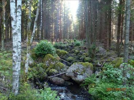 Biotopkarteringar i Säveån 2011-2012 BILAGA 2 Säveåns biflöden Strömförhållande: Strömmande 3, forsande 2 Flöde: 2, MQ Bäckstruktur: Ringlande Dominerande vattenvegetation (0 3): Övriga påväxtalger