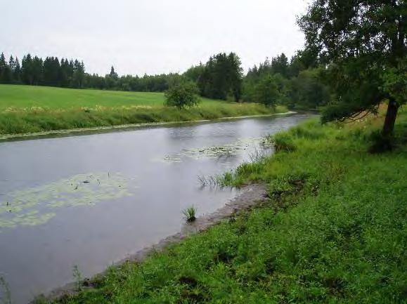 Gamla åfåran vid Ängatorp har mycket fina miljöer för öring och goda förutsättningar för öringlek och uppväxande fisk. Utmed sträckan ansluter elva biflöden.