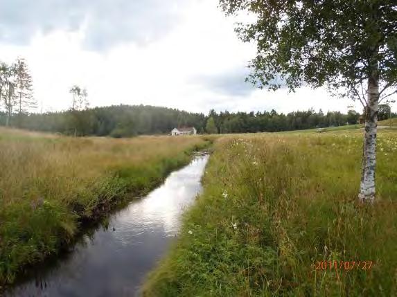 odlingsmark innan den når Säveån. Botten består av sediment. Avsaknaden av lövridå gör att mycket växtlighet i form av nate i finns vattendraget.