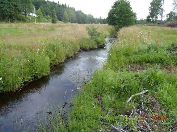 hävdad mark 3, lövskog 1 Dominerande trädslag: Al Omgivning: Öppen hävdad mark 3, barrskog 2, blandskog 2, artificiell mark 1 Påverkan (0 3): 2 Strukturelement: dike D15, D16, D17 och D18