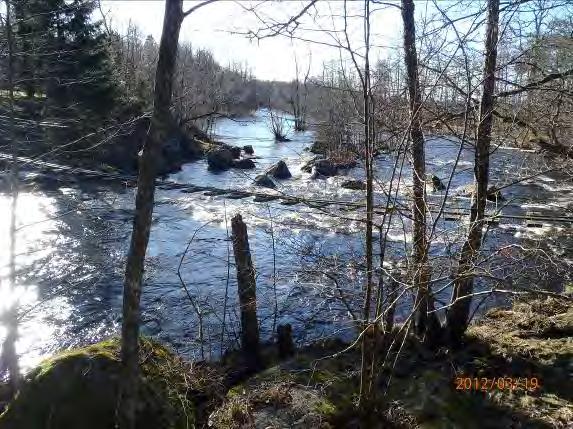 Biotopkarteringar i Säveån 2011-2012 BILAGA 1 Säveåns huvudfåra 2013-02-04 Trollaforsen Trollaforsen ligger ned och i anslutning till Spånga kvarn mellan naturreservatet Ängsholms ekhagar och