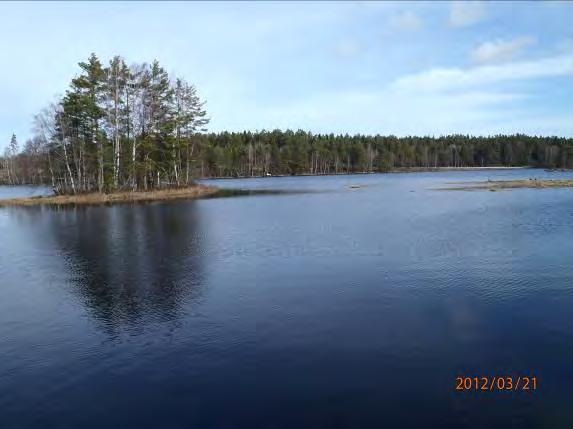 Biotopkarteringar i Säveån 2011-2012 BILAGA 1 Säveåns huvudfåra 2013-02-04 Naturvärdesklass (0 4): 2 högt naturvärde (regionalt värdefull sträcka).