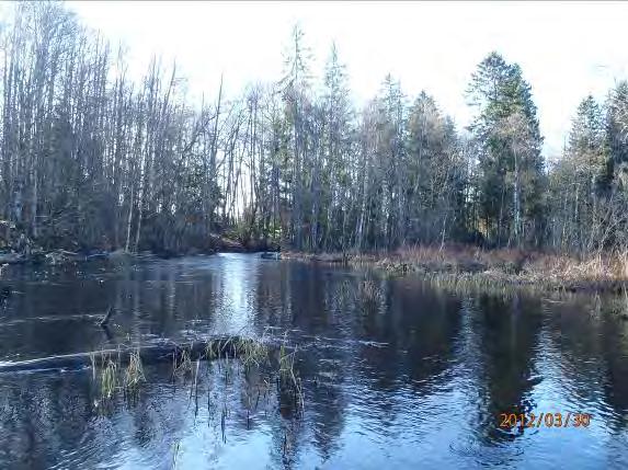 kvillområde på sträckan.