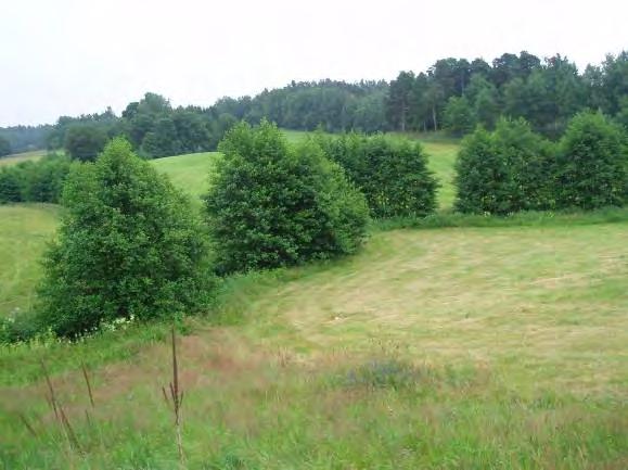 Biotopkarteringar i Säveån 2011-2012 BILAGA 2 Säveåns biflöden Potential (0 3): 3 Närområde (1 30 m): Öppen hävdad mark 3, lövskog 2, tomtmark och väg 1.