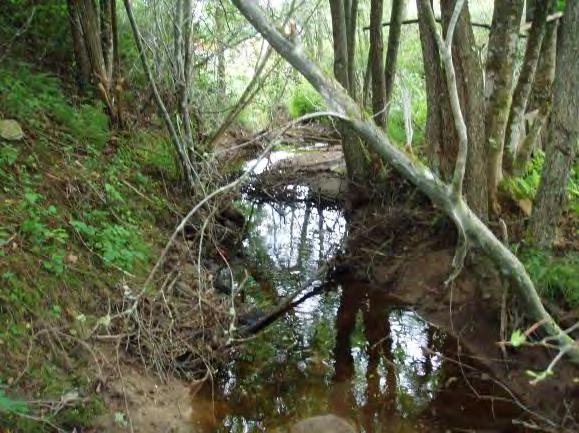öppen hävdad mark med och utan busk och träd skikt ut med vattendraget. En elledning följer bäcken som delar sig mot Trulsagården.