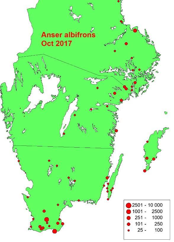 höstarna (Fig. 17).