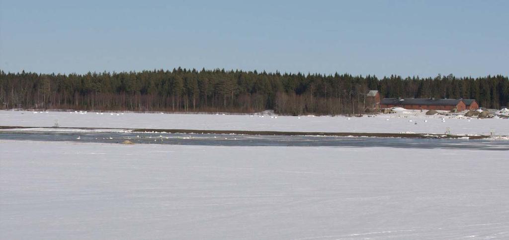 41 Bild 14. Vatten börjar pumpas in i en av kompensationsdammarna vid Degernäs.