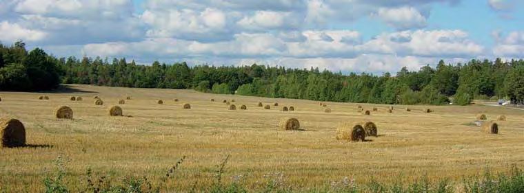 Produktiva arealer för jord- och skogsbruk och en sammanhängande grönstruktur ska i möjligaste mån bevaras. Detta ger goda förutsättningar för en effektiv användning av mark och infrastruktur.