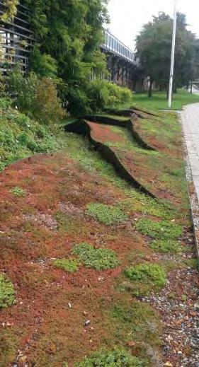 Våtmarker och andra typer av system där vatten saktas ned och silas genom vegetation har förmåga att fördröja vattenflöden och att filtrera ut och bryta ned näringsämnen och föroreningar.