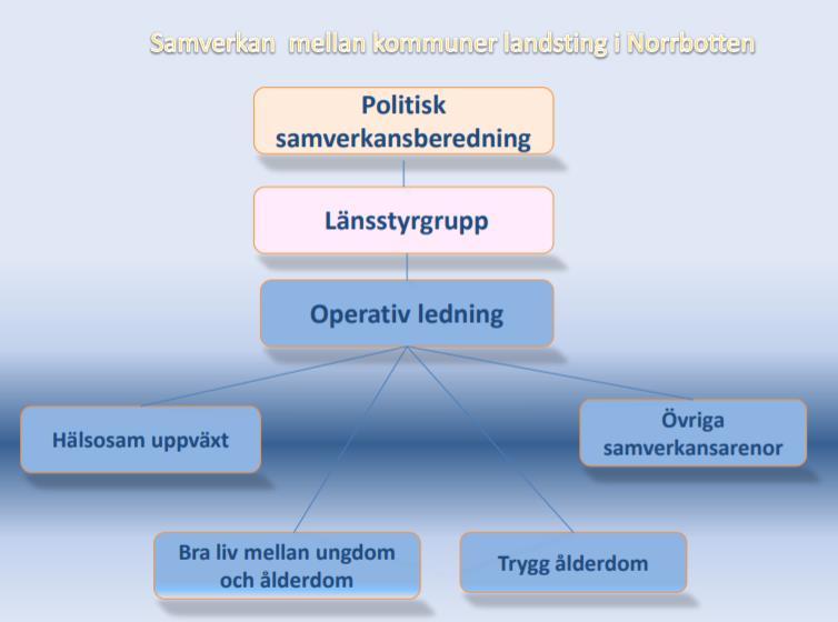 Samverkan mellan huvudmännen på övergripande nivå Revisionell utgångspunkt I den länsövergripande samverkansöverenskommelsen anges att: I Norrbottens län finns sedan 2006 en gemensam struktur för